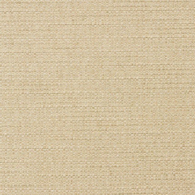 KRAVET COUTURE AM100436.16.0 TENDER ROPE Fabric - Eade's Wallpaper
