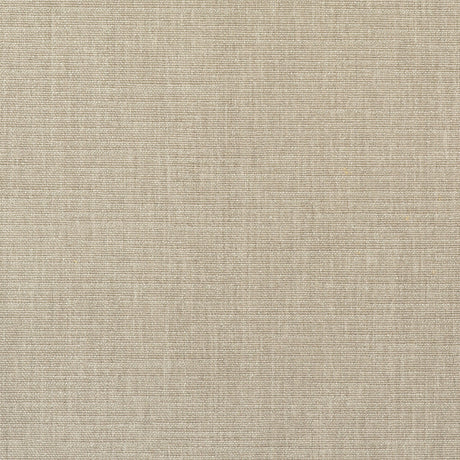 KRAVET COUTURE AM100439.106.0 CORACLE ROPE Fabric - Eade's Wallpaper