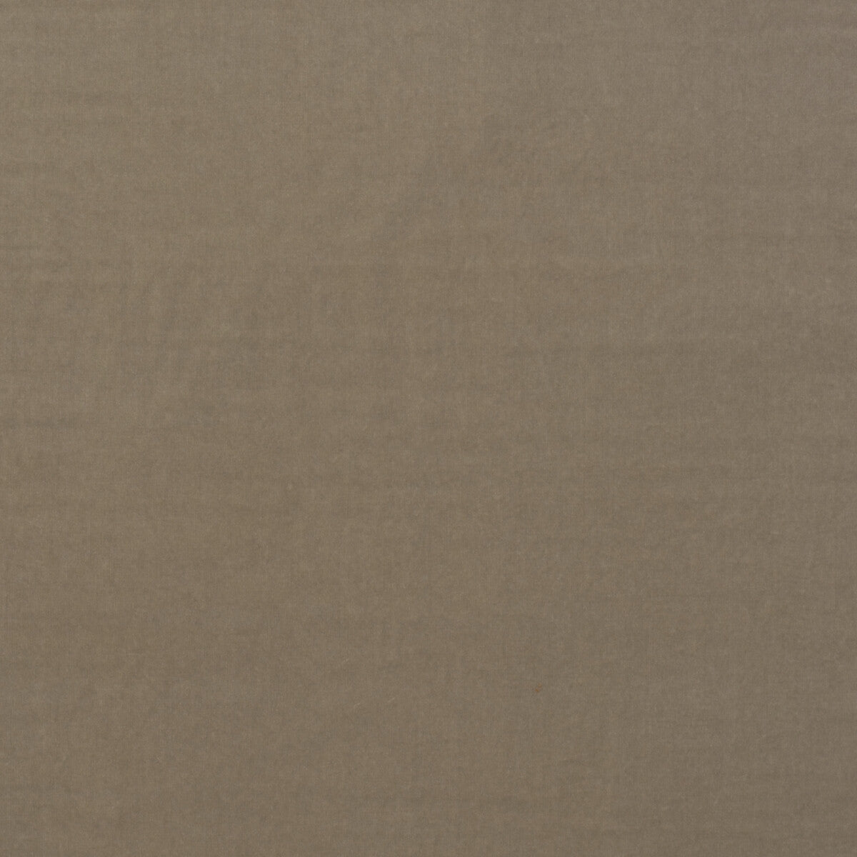 KRAVET COUTURE AM100443.16.0 MEDICI STONE Fabric - Eade's Wallpaper