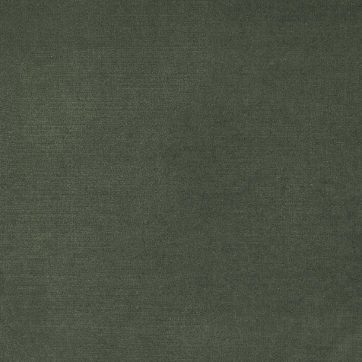 KRAVET COUTURE AM100443.21.0 MEDICI SLATE Fabric - Eade's Wallpaper