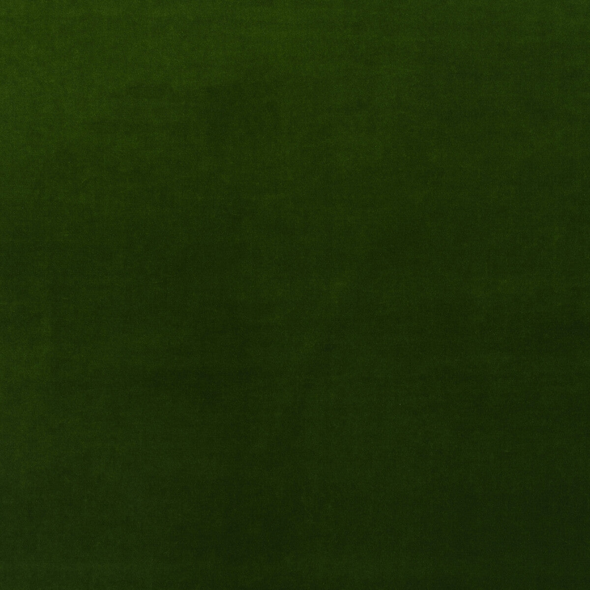 KRAVET COUTURE AM100443.3.0 MEDICI IVY Fabric - Eade's Wallpaper