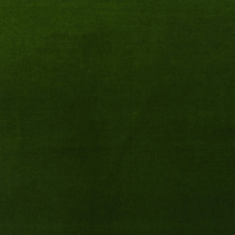 KRAVET COUTURE AM100443.3.0 MEDICI IVY Fabric - Eade's Wallpaper