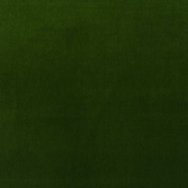 KRAVET COUTURE AM100443.3.0 MEDICI IVY Fabric - Eade's Wallpaper