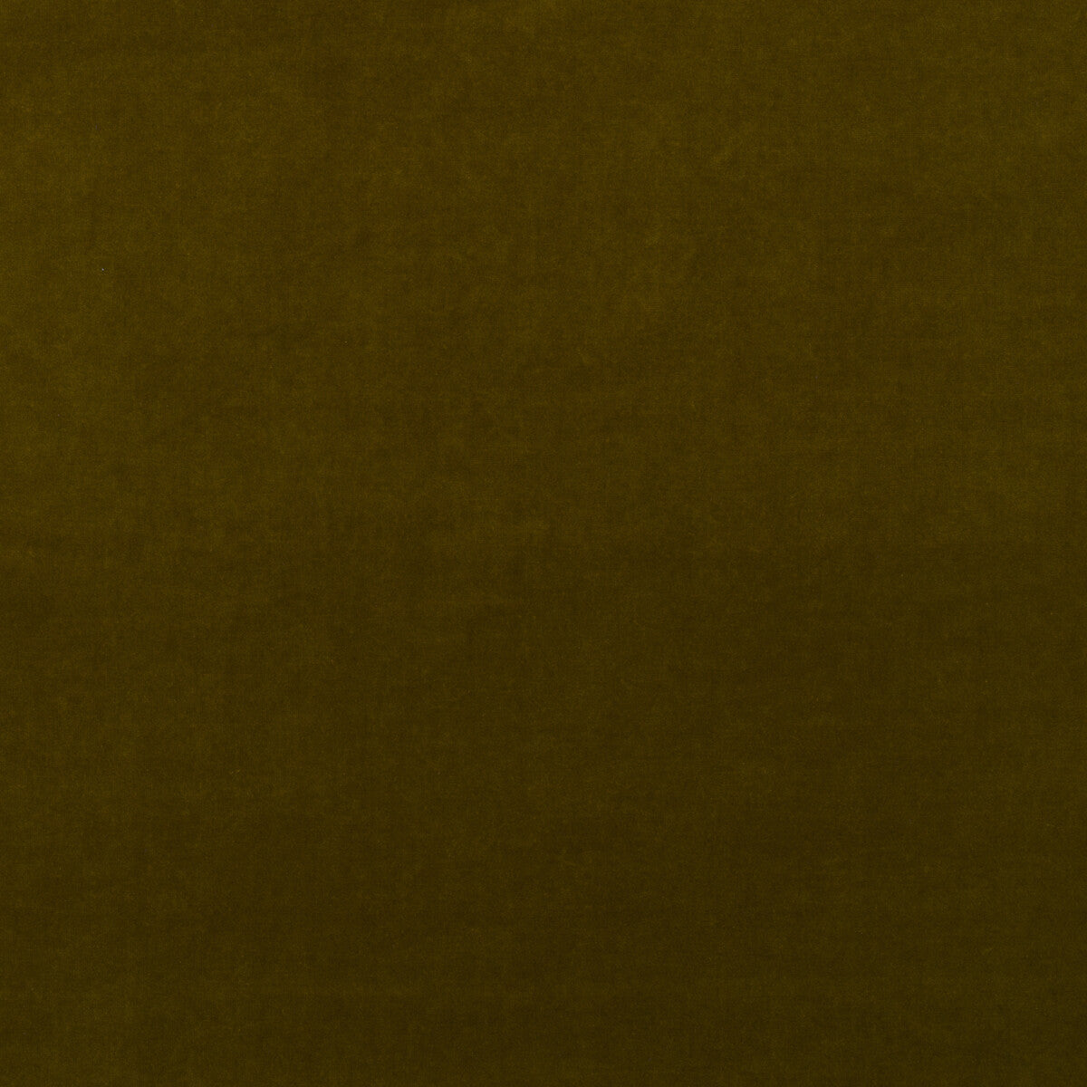 KRAVET COUTURE AM100443.34.0 MEDICI OLIVE Fabric - Eade's Wallpaper