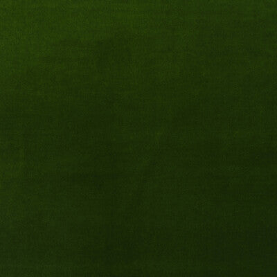 KRAVET COUTURE AM100443.3.0 MEDICI IVY Fabric - Eade's Wallpaper