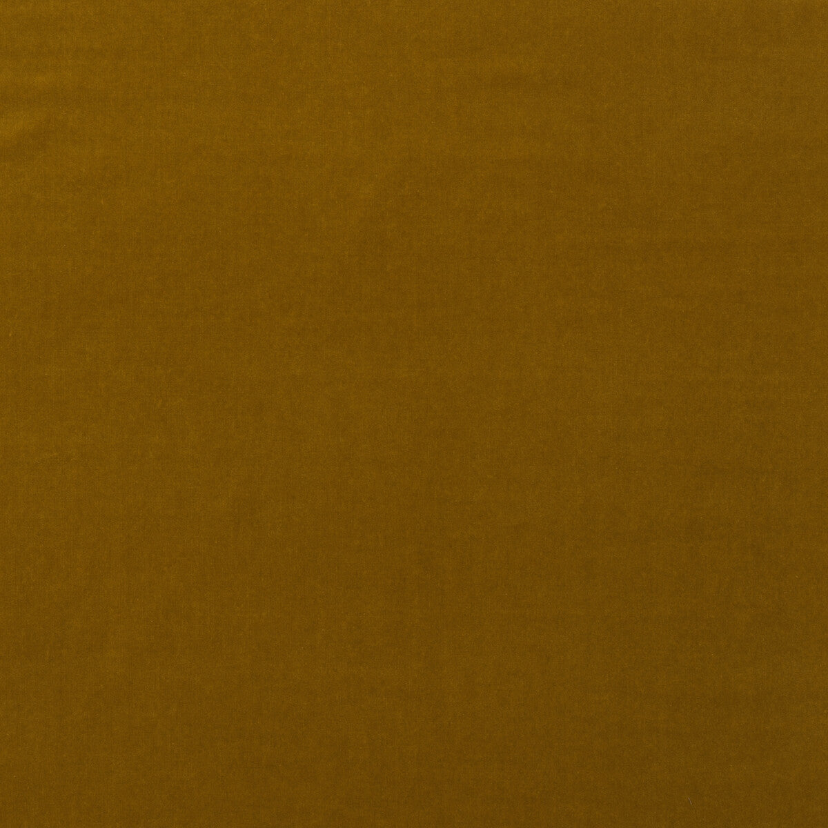 KRAVET COUTURE AM100443.430.0 MEDICI QUINCE Fabric - Eade's Wallpaper