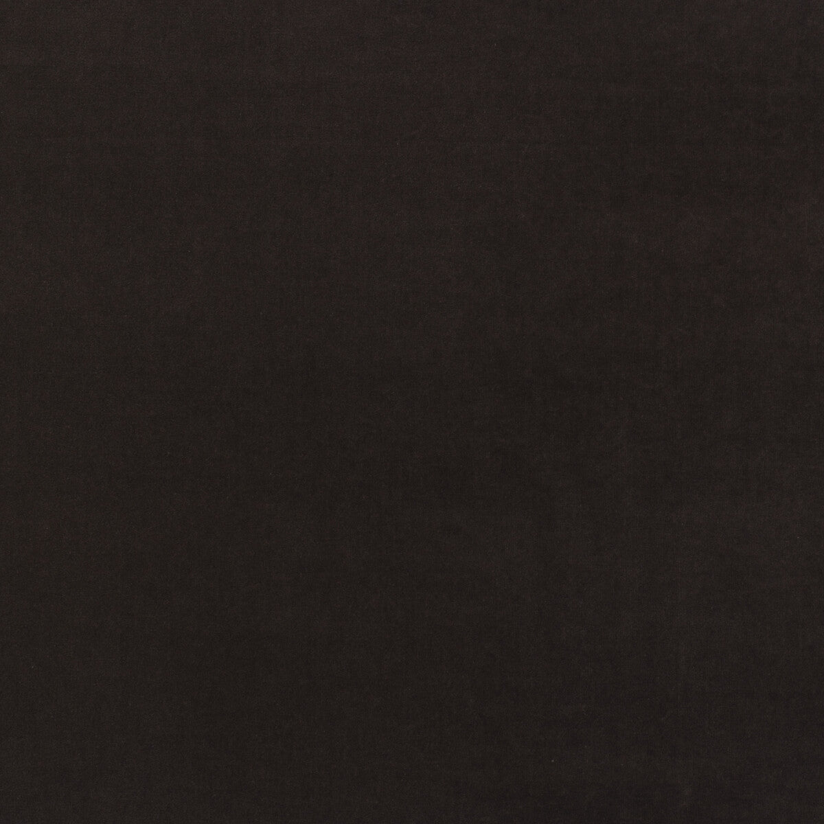 KRAVET COUTURE AM100443.6.0 MEDICI MOCHA Fabric - Eade's Wallpaper