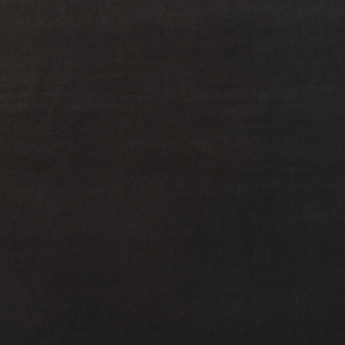 KRAVET COUTURE AM100443.621.0 MEDICI CHARCOAL Fabric - Eade's Wallpaper