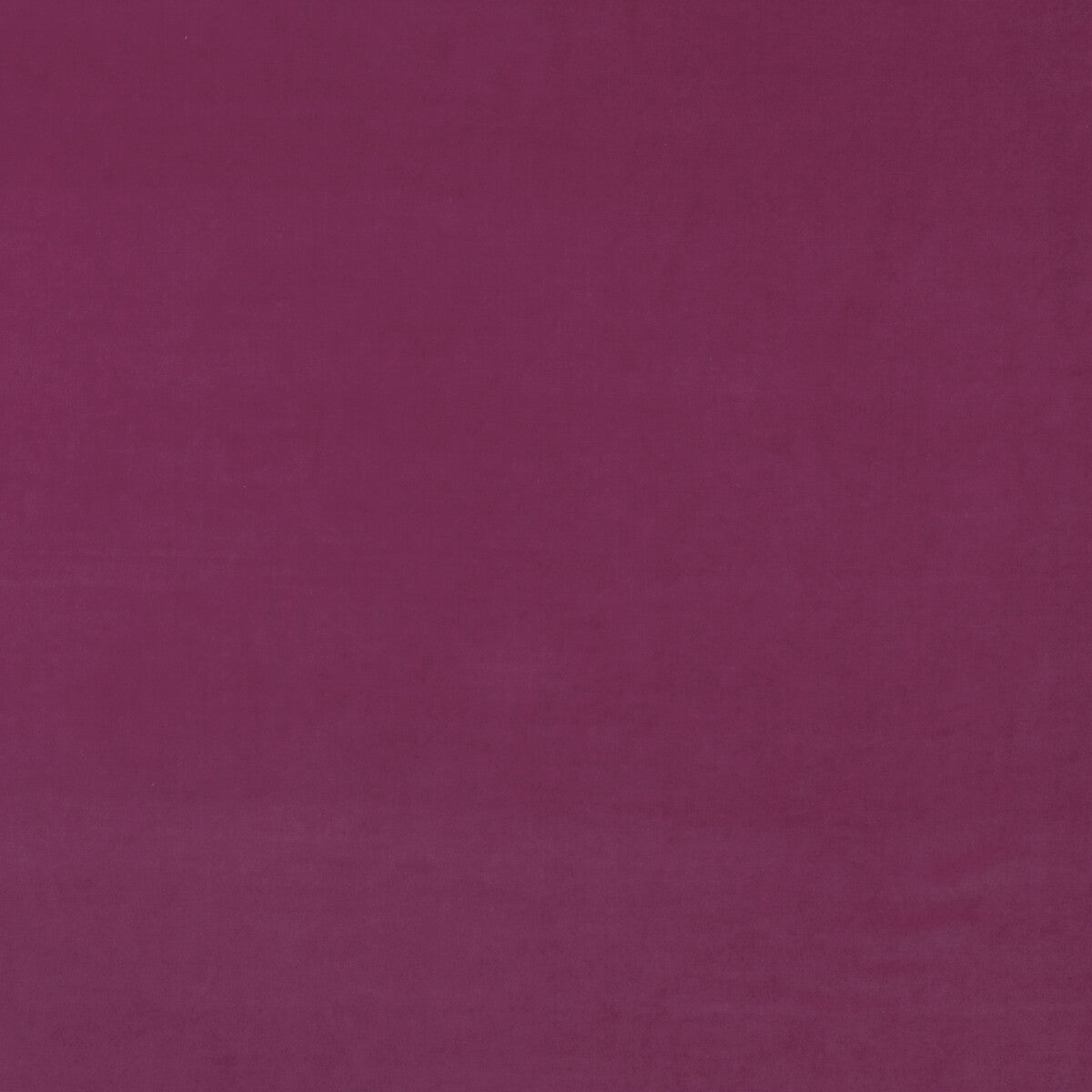 KRAVET COUTURE AM100443.7.0 MEDICI GERANIUM Fabric - Eade's Wallpaper