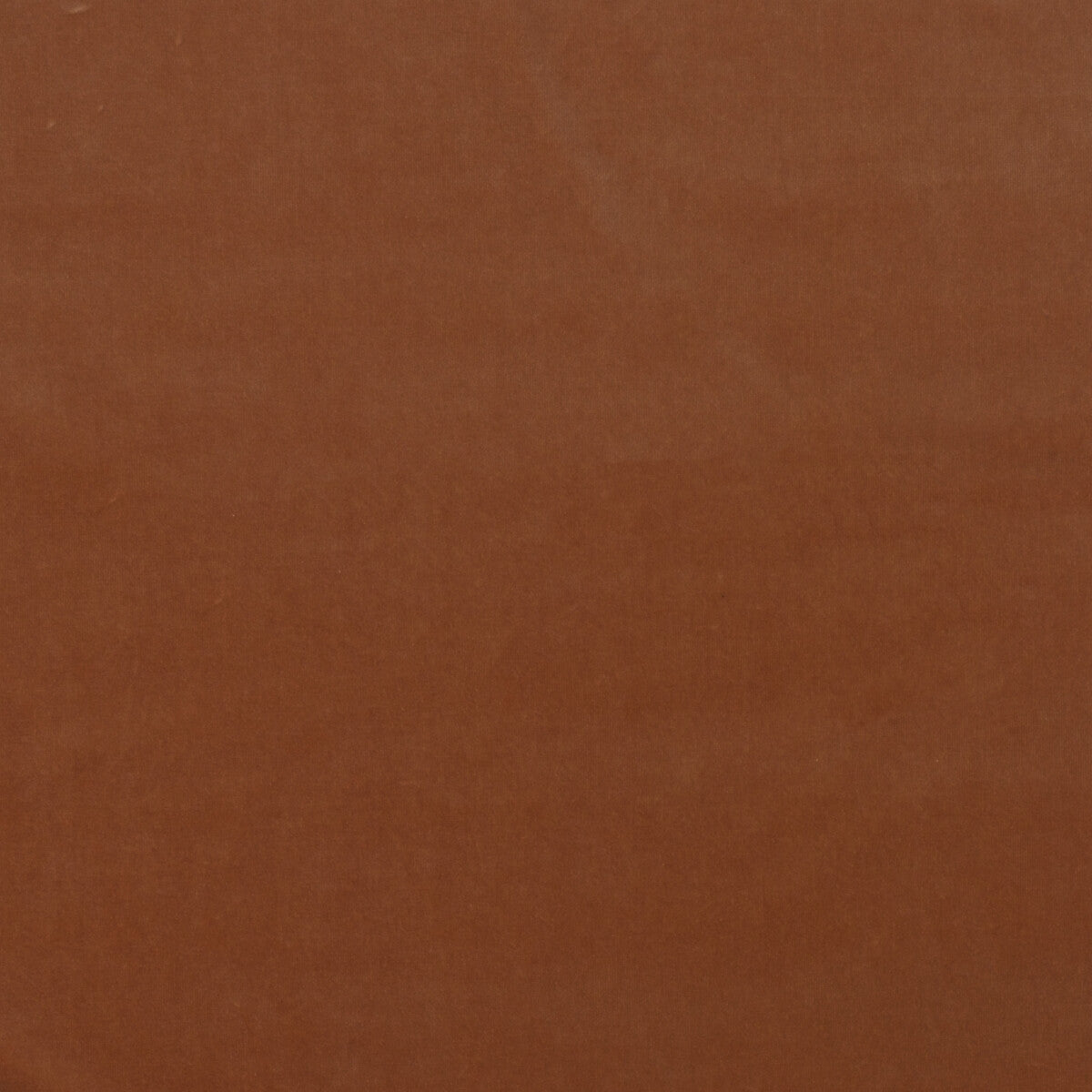KRAVET COUTURE AM100443.712.0 MEDICI PIGMENT Fabric - Eade's Wallpaper