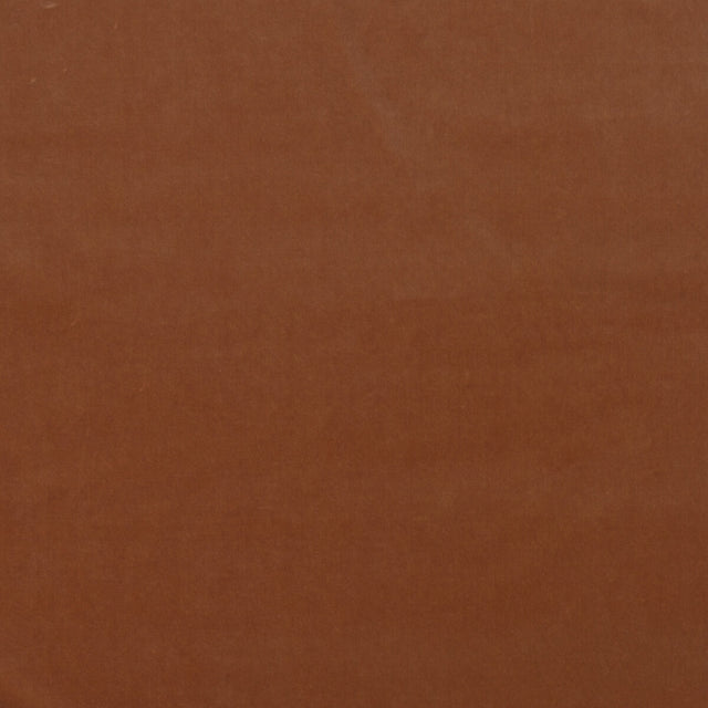 KRAVET COUTURE AM100443.712.0 MEDICI PIGMENT Fabric - Eade's Wallpaper