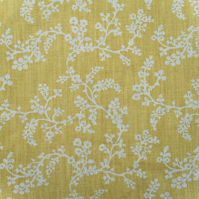 KRAVET COUTURE AM100451.40.0 VINE BARLEY Fabric - Eade's Wallpaper