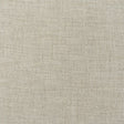 KRAVET COUTURE ATRANI PLAIN AM100469.1116.0 in LINEN Fabric 