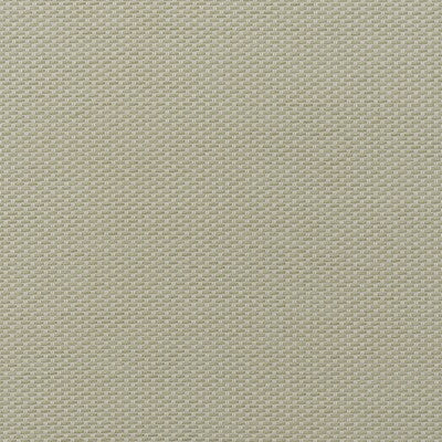 KRAVET COUTURE TAORMINA AM100477.16.0 in STONE Fabric - ANDR