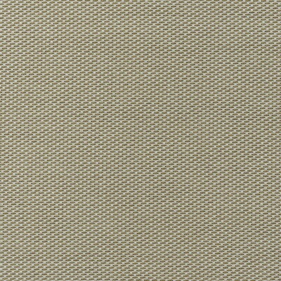 KRAVET COUTURE TAORMINA AM100477.166.0 in ALMOND Fabric - AN
