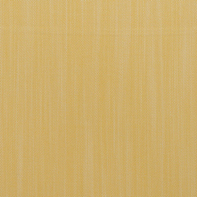 KRAVET COUTURE RIVIERA AM100495.4.0 in SOLE Fabric - ANDREW 