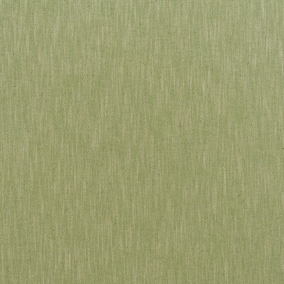 KRAVET COUTURE CANVAS AM100498.3.0 in SPRING Fabric - ANDREW
