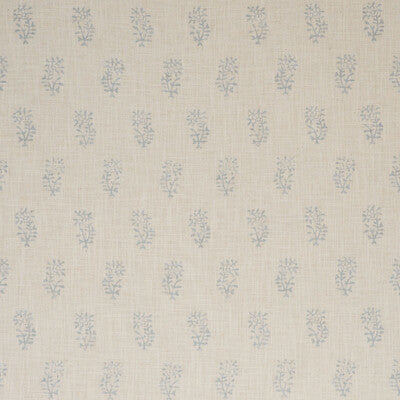 KRAVET COUTURE THYME AM100510.115.0 in SKY ON LINEN Wallpape