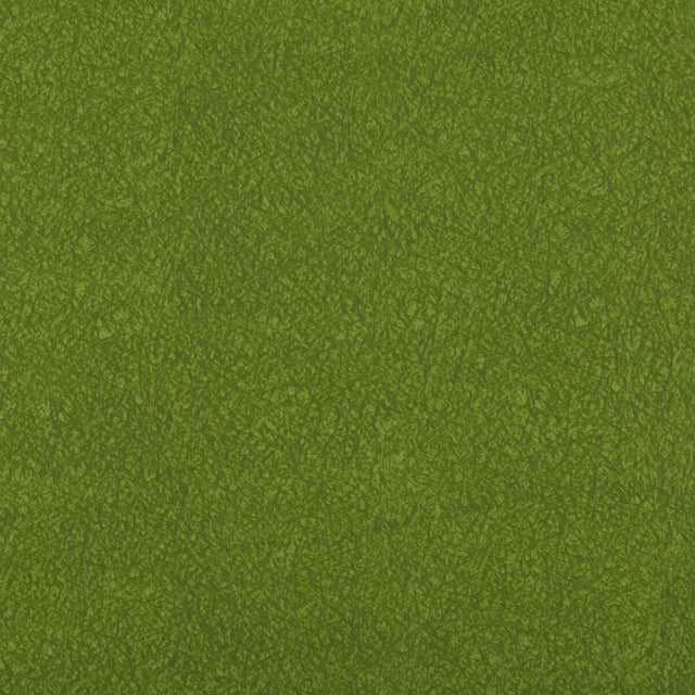 KRAVET CONTRACT AMES.303.0 AMES MOSS Fabric - Eade's Wallpaper
