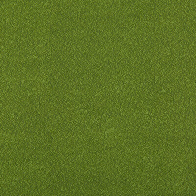 KRAVET CONTRACT AMES.303.0 AMES MOSS Fabric - Eade's Wallpaper