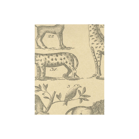 KRAVET COUTURE AMW10001.1611.0 ARK PARCHMENT Wallpaper - Eade's Wallpaper