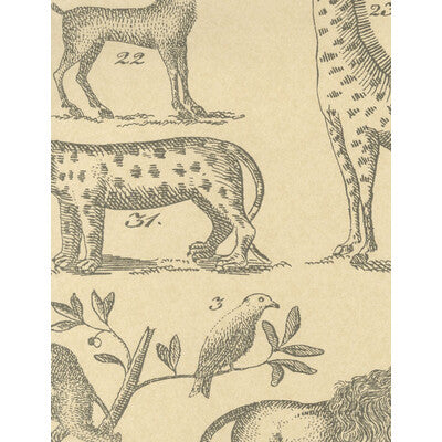 KRAVET COUTURE AMW10001.1611.0 ARK PARCHMENT Wallpaper - Eade's Wallpaper