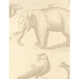 KRAVET COUTURE AMW10001.16.0 ARK SAND Wallpaper - Eade's Wallpaper