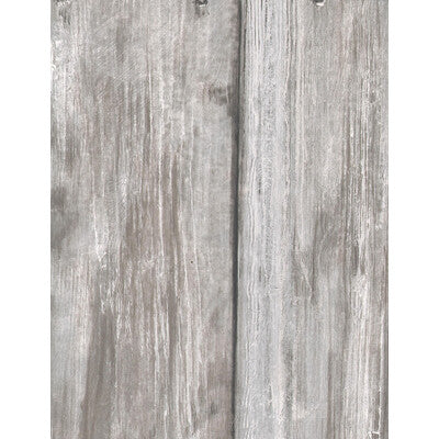 KRAVET COUTURE AMW10014.11.0 TIMBER LIMED Wallpaper - Eade's Wallpaper