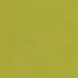 KRAVET COUTURE AMW10059.3.0 JAPAN CITRUS Wallpaper - Eade's Wallpaper