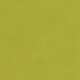 KRAVET COUTURE AMW10059.3.0 JAPAN CITRUS Wallpaper - Eade's Wallpaper