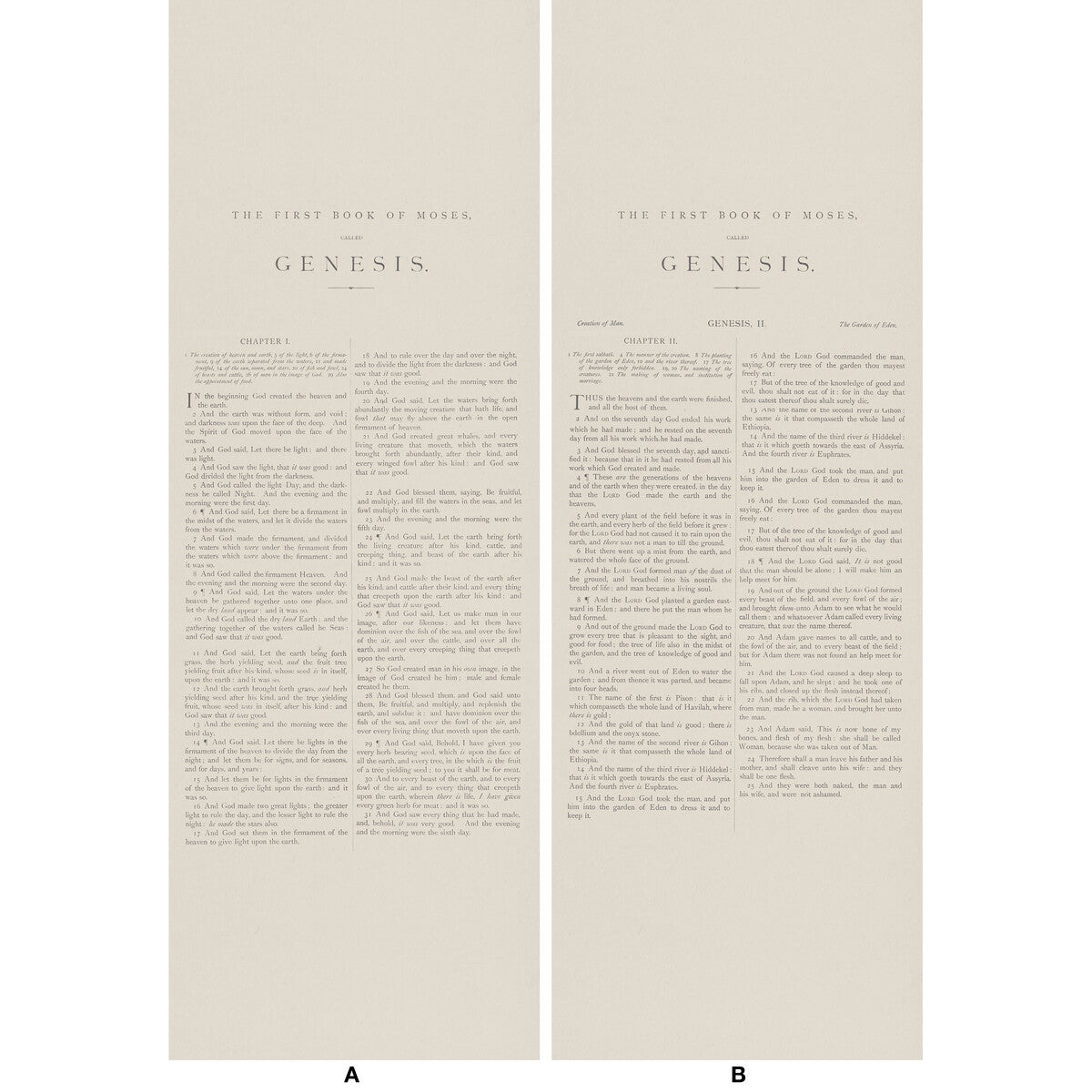 KRAVET COUTURE AMW10066.16.0 GENESIS 16 Wallpaper - Eade's Wallpaper