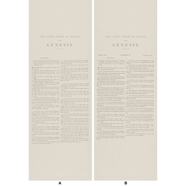 KRAVET COUTURE AMW10066.16.0 GENESIS 16 Wallpaper - Eade's Wallpaper