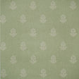 KRAVET COUTURE AMW10076.3.0 COW PARSLEY LEAF Wallpaper - Eade's Wallpaper