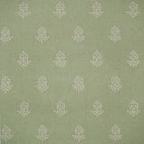 KRAVET COUTURE AMW10076.3.0 COW PARSLEY LEAF Wallpaper - Eade's Wallpaper