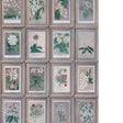 KRAVET COUTURE FLORAL AMW10097.310.0 in SLATE Wallpaper - AN