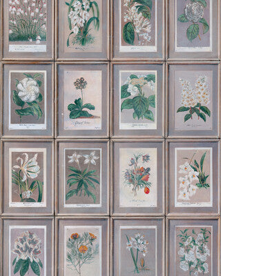 KRAVET COUTURE FLORAL AMW10097.310.0 in SLATE Wallpaper - AN