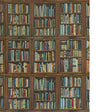 KRAVET COUTURE PHILOSOPHER AMW10100.615.0 in MULTI Mural - A