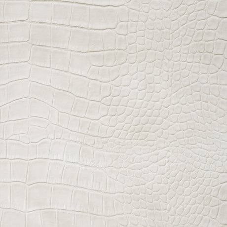 KRAVET DESIGN ANKORA.1.0 KRAVET DESIGN ANKORA-1 Fabric - Eade's Wallpaper