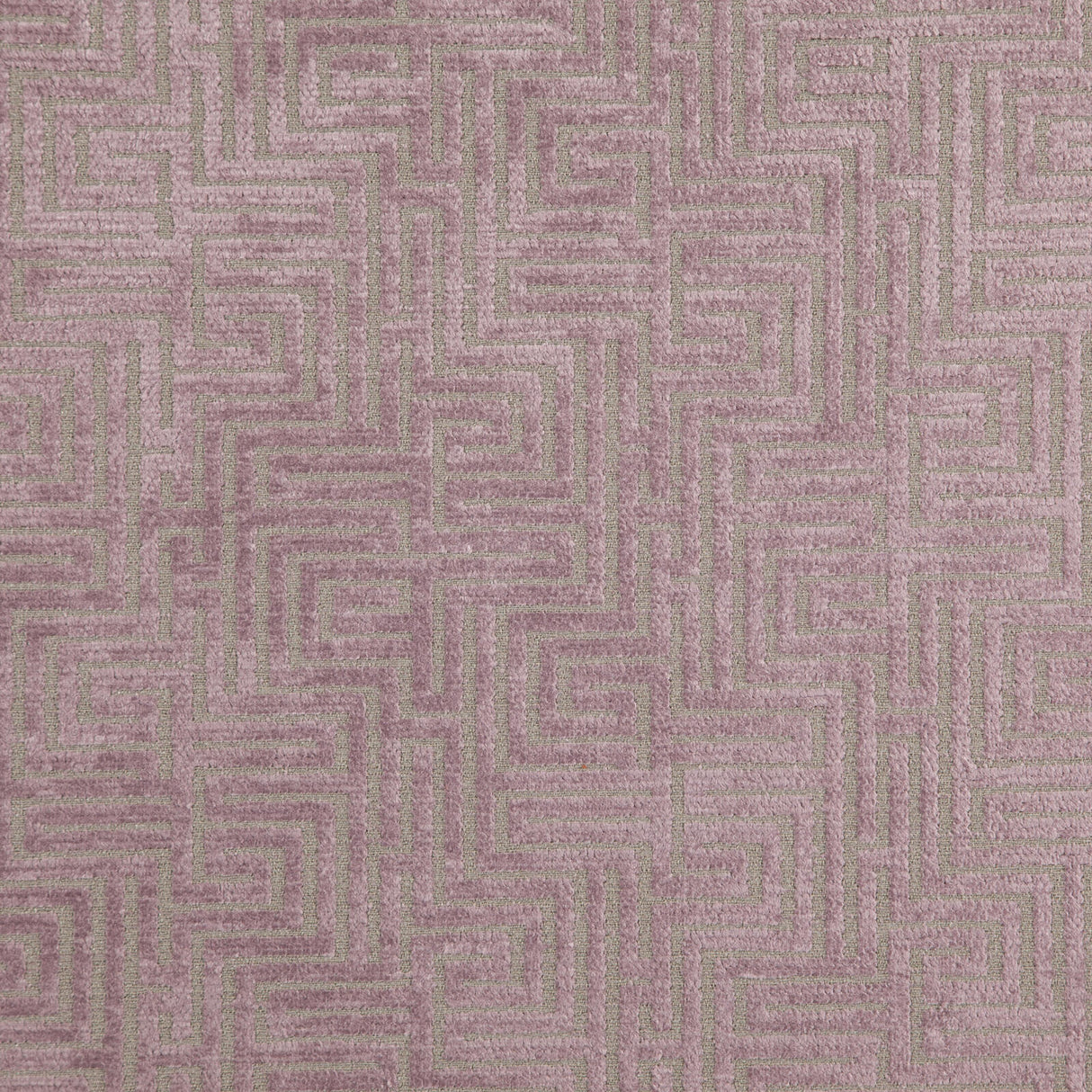 Eade’s # 326 PLUM