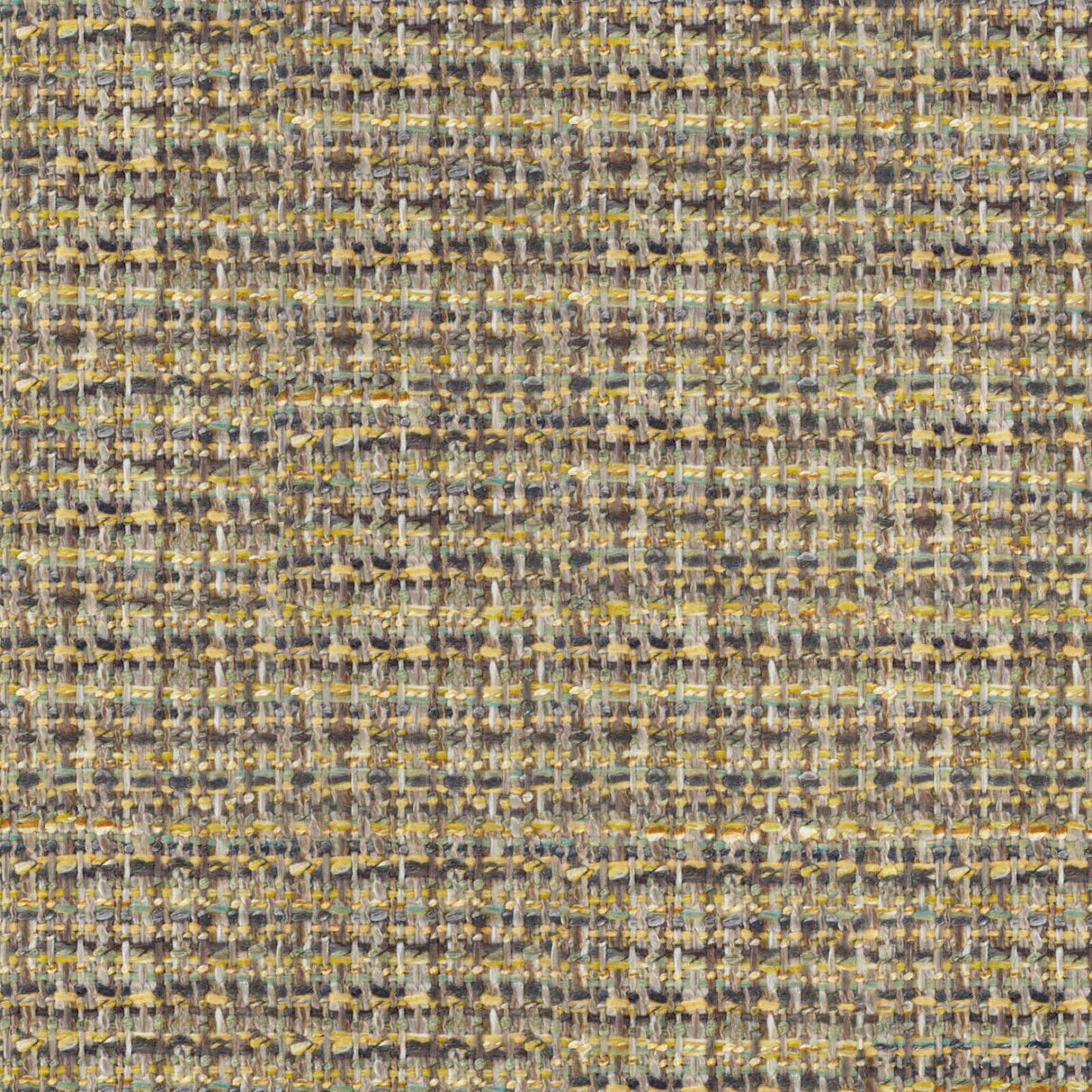 Eade’s # 543 NOUGAT