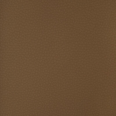 KRAVET DESIGN ARENI.6.0 KRAVET DESIGN ARENI-6 Fabric - FAUX LEATHER IV