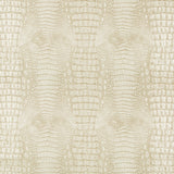 KRAVET DESIGN ARROGATE.116.0 KRAVET DESIGN ARROGATE-116 Fabric - Eade's Wallpaper