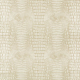 KRAVET DESIGN ARROGATE.116.0 KRAVET DESIGN ARROGATE-116 Fabric - Eade's Wallpaper