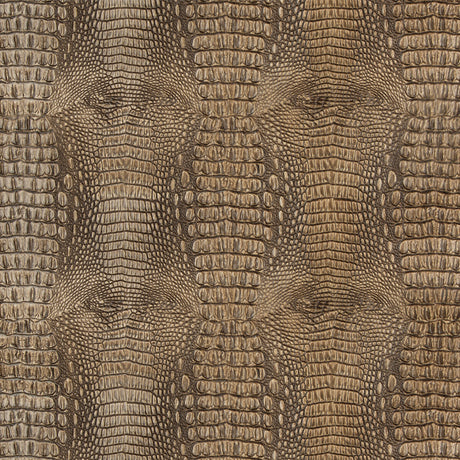 KRAVET DESIGN ARROGATE.16.0 KRAVET DESIGN ARROGATE-16 Fabric - Eade's Wallpaper