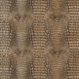 KRAVET DESIGN ARROGATE.16.0 KRAVET DESIGN ARROGATE-16 Fabric - Eade's Wallpaper