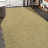 Amer Rugs ARZ-15 Arizona Minimalist Design Area Rug