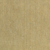 Amer Rugs ARZ-15 Arizona Minimalist Design Area Rug