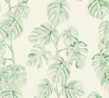 AS Creation AS372813 Ayutla Green Tropical Frond Wallpaper