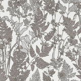 AS Creation AS377521 Ayla Light Grey Wildflowers Wallpaper