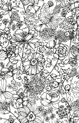 A-Street Prints AST3789 Daley Black Line Floral Wallpaper
